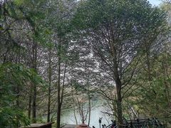 -白马涧龙池景区