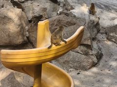 -青藏高原野生动物园