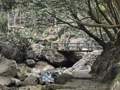 -宁波五龙潭景区