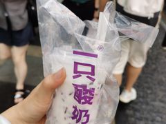 -一只酸奶牛(八一路店)