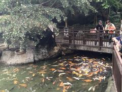 -珠海圆明新园