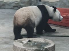 -栾川竹海野生动物园