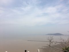 -洋山深水港
