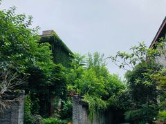 -水绘园