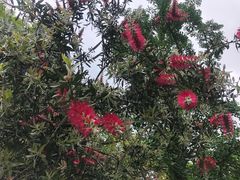 -苏州河梦清园环保主题公园