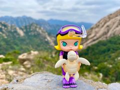 -大泽山风景名胜区