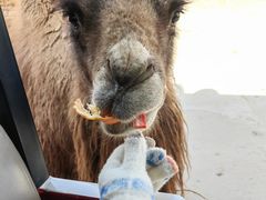-南京金牛湖风景区
