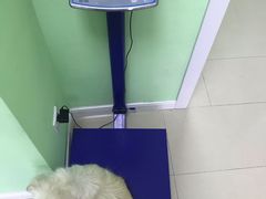 -圣宠动物医院·犬猫专科·影像中心·外科中心