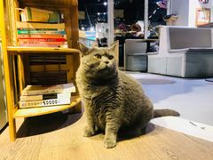 -小时光咖啡馆(开森度假森林店)