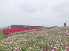 -迪茵湖田家舍生态农场
