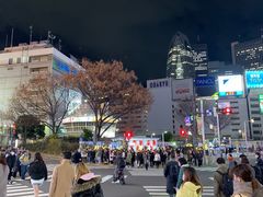 -六本木新城展望台(东京城市景观)