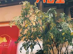 -汕头八合里海记牛肉店(清河店)