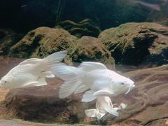 -太平洋海底世界