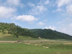 -关山草原