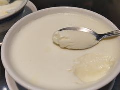 盐炖奶-民信老铺(双皮奶博物馆店)