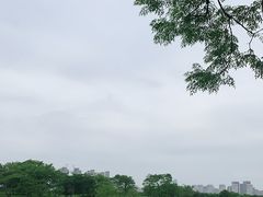 -盘龙城国家考古遗址公园