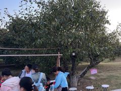 -祥源·阜阳生态乐园