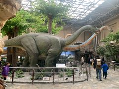 -国家自然博物馆