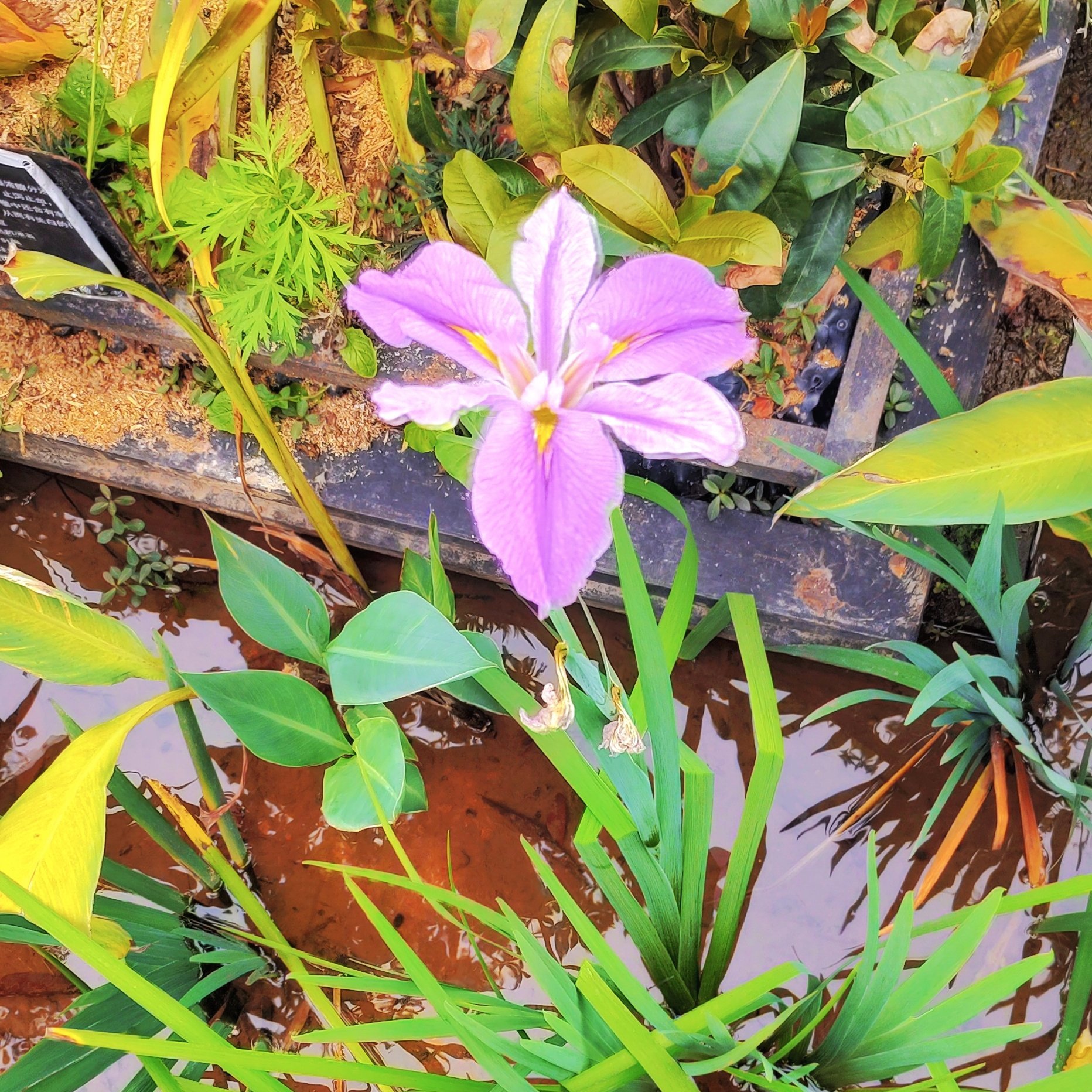 不说话就是默认吗?