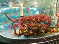 -海大大蒸汽海鲜餐厅·粤菜·特色小炒(欢乐颂店)