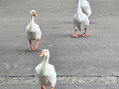 -浙江万里学院(钱湖校区)