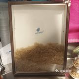 清清凉凉海石花