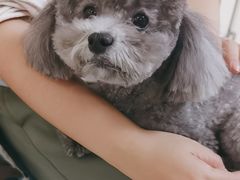 -美联众合动物医院·24h京西诊疗中心