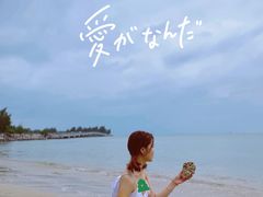 -东郊椰林