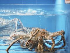 -富黎华海鲜大酒楼(正大广场店)