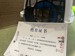 -御宝贝·A梦猫科宠物医院(国际猫友好医院)