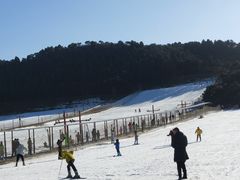 -十三陵雪世界滑雪场