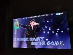 -金青果甄选KTV(劳动公园店)