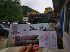 -九龙潭景区