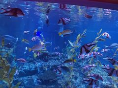 -海合安成都极地海洋公园