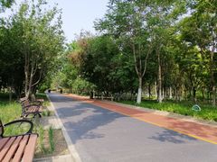 -大兴滨河森林公园