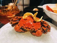 -甄御•海鲜新青岛菜(麦岛店)