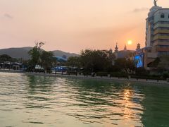 -帝企鹅自助餐厅•儿童岛•真企鹅(长隆企鹅酒店)