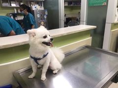 -总动员动物医院(宝丰院店)