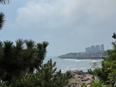 -青岛海景花园大酒店·白果树餐厅青岛菜