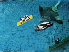 -上海野生动物园