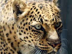 iphone_upload_pic-西安秦岭野生动物园