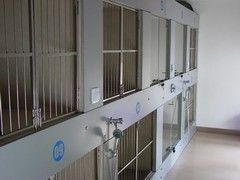-申普宠物医院·心脏介入·心血管微创(总院)