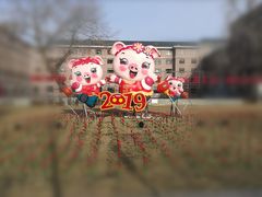 -沪上阿姨·精选茶饮(桃源友嘉购物广场店)