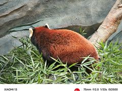 -武汉动物园