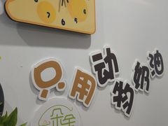 -Minicake创意蛋糕烘焙工作室