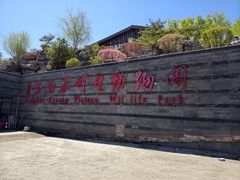 -青藏高原野生动物园