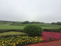 滨海高尔夫俱乐部-滨海高尔夫俱乐部