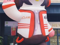 -坂田天虹