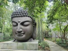 -杭州植物园