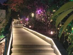 -宝莱纳啤酒花园餐厅PAULANER BRAUHAUS Nanjing(广州路店)